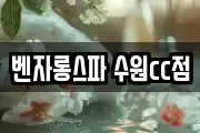 벤자롱스파 수원cc점
