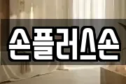 손플러스손