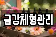 금강체형관리