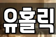 유홀릭
