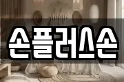 손플러스손