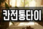 칸전통타이