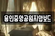 용인중앙공원지압보드