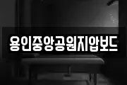 용인중앙공원지압보드