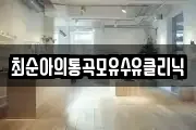 경기도 용인시 처인구 호동 마사지, 지압등 업체정보