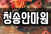 청송안마원
