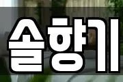 솔향기