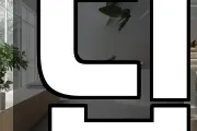 딥