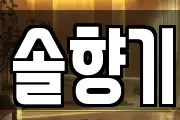 솔향기