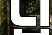 딥