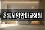초록지압안마교정원