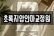 초록지압안마교정원