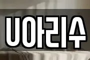 U아리수