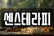 센스테라피