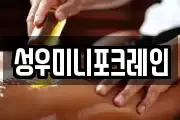 성우미니포크레인