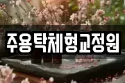 경기도 파주시 금릉동 마사지, 지압등 업체정보