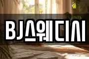 BJ스웨디시
