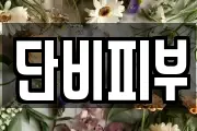 단비피부