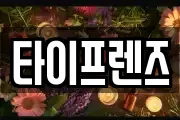 타이프렌즈