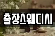 출장스웨디시