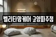 벨리타맘케어 고양파주점