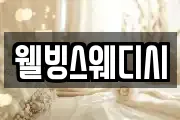 웰빙스웨디시