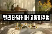 벨리타맘케어 고양파주점