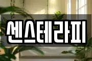 센스테라피