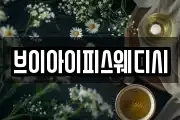 브이아이피스웨디시