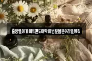 출장열쇠게이트맨도어락비번분실문수리열쇠집
