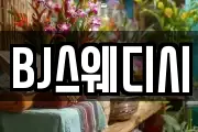 BJ스웨디시