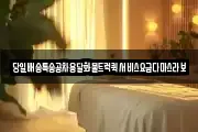 당일배송특송공차용달화물트럭퀵서비스요금다마스라보
