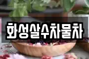 화성살수차물차