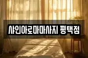 샤인아로마마사지 평택점