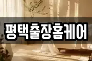 평택출장홈케어