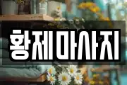 경기도 평택시 도일동 마사지, 지압등 업체정보