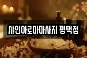 샤인아로마마사지 평택점