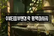 수뷰티피부앤경락 평택마사지