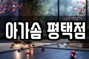 아가솜 평택점
