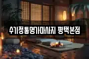 경기도 평택시 비전동 마사지, 지압등 업체정보