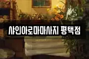 샤인아로마마사지 평택점