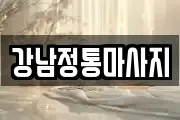 강남정통마사지