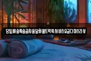 당일배송특송공차용달화물트럭퀵서비스요금다마스라보