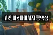 샤인아로마마사지 평택점