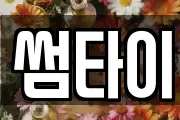 썸타이