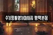경기도 평택시 마사지, 지압등 업체정보