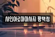 샤인아로마마사지 평택점