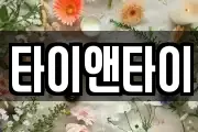 타이앤타이