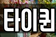 타이퀸