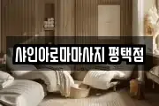 샤인아로마마사지 평택점